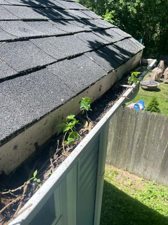 Gutter Cleaning